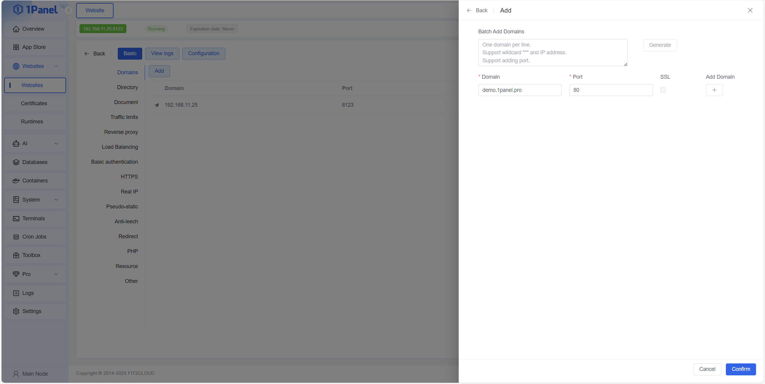 1Panel website and domain management interface